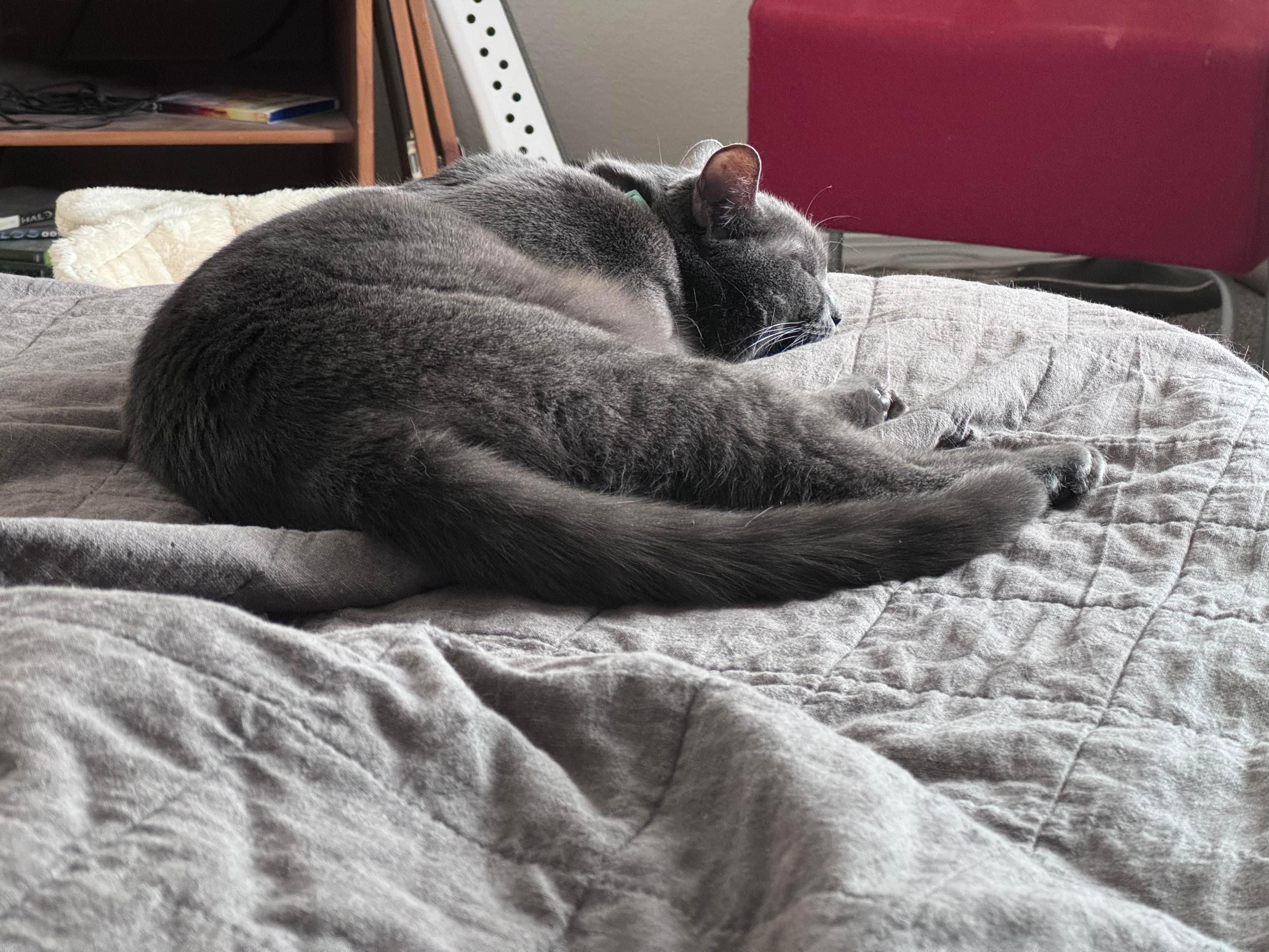 Mastodon Post 2025-01-25