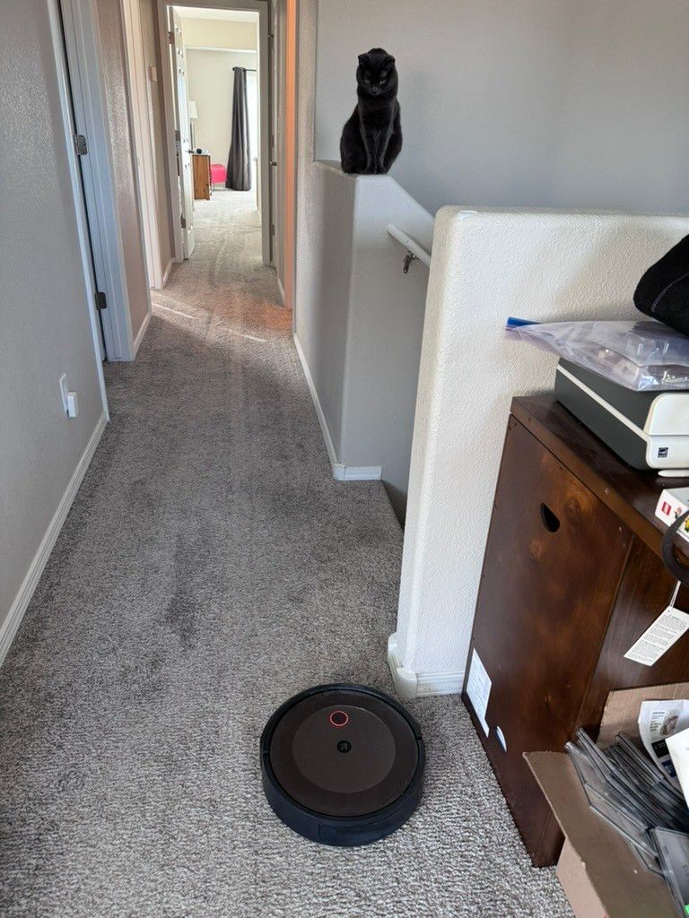 Mastodon Post 2024-01-20