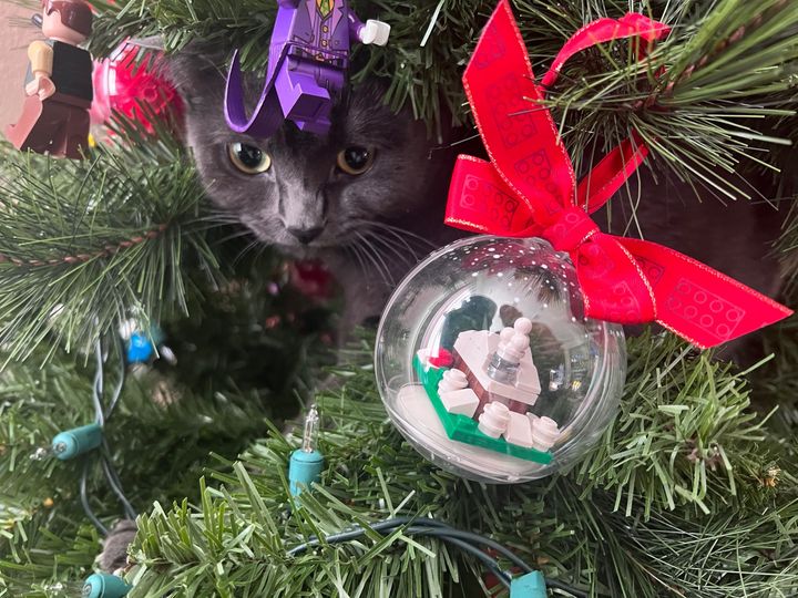 Bluesky Post 2025-12-25