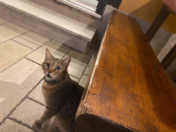 Mastodon Post 2023-09-30