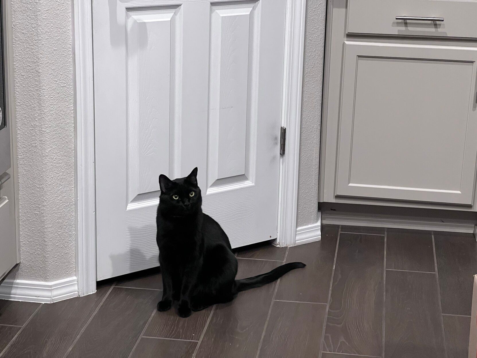 Mastodon Post 2023-05-07