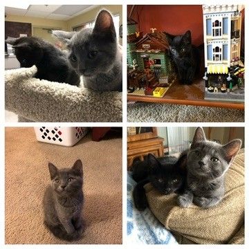 Mastodon Post 2024-04-06