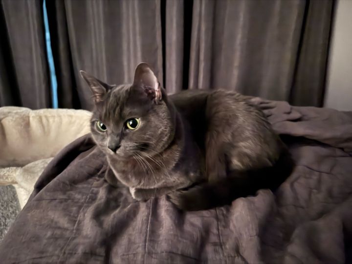 Bluesky Post 2024-11-08