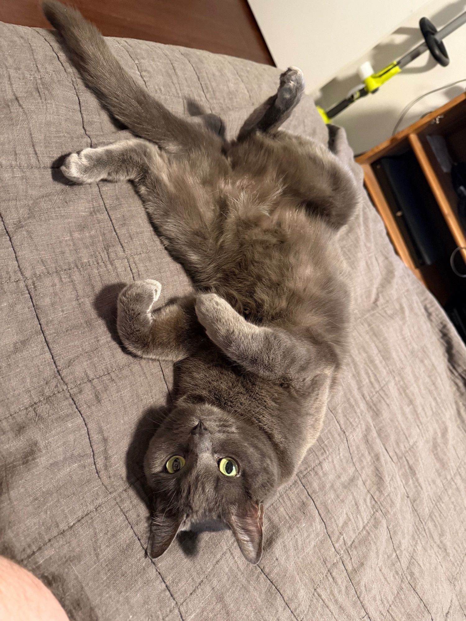 Bluesky Post 2026-01-25