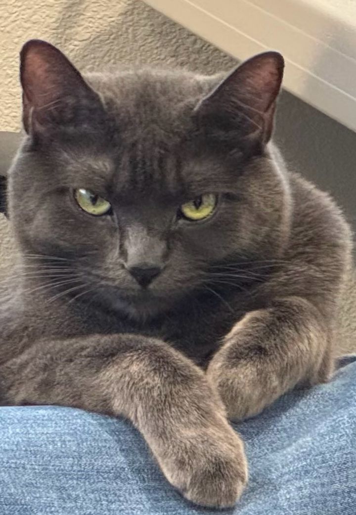 Bluesky Post 2024-11-16