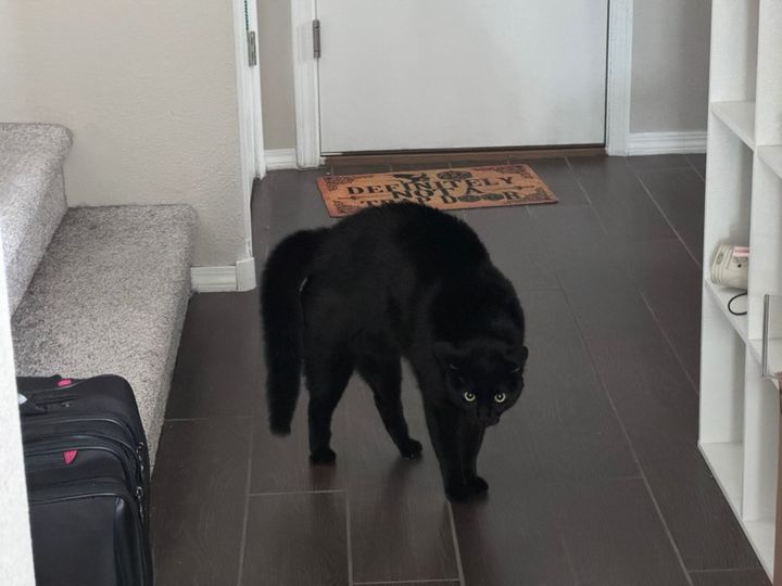 Bluesky Post 2024-04-20