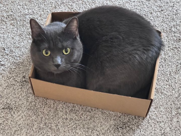 Mastodon Post 2024-06-08