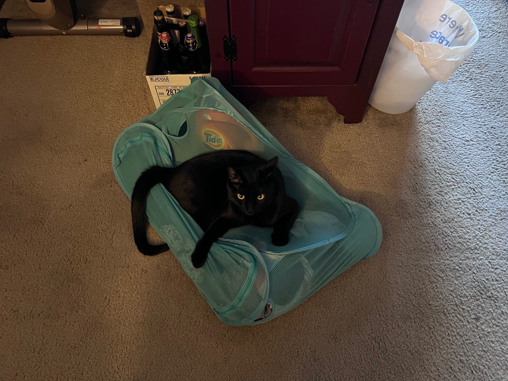 Bluesky Post 2025-09-13