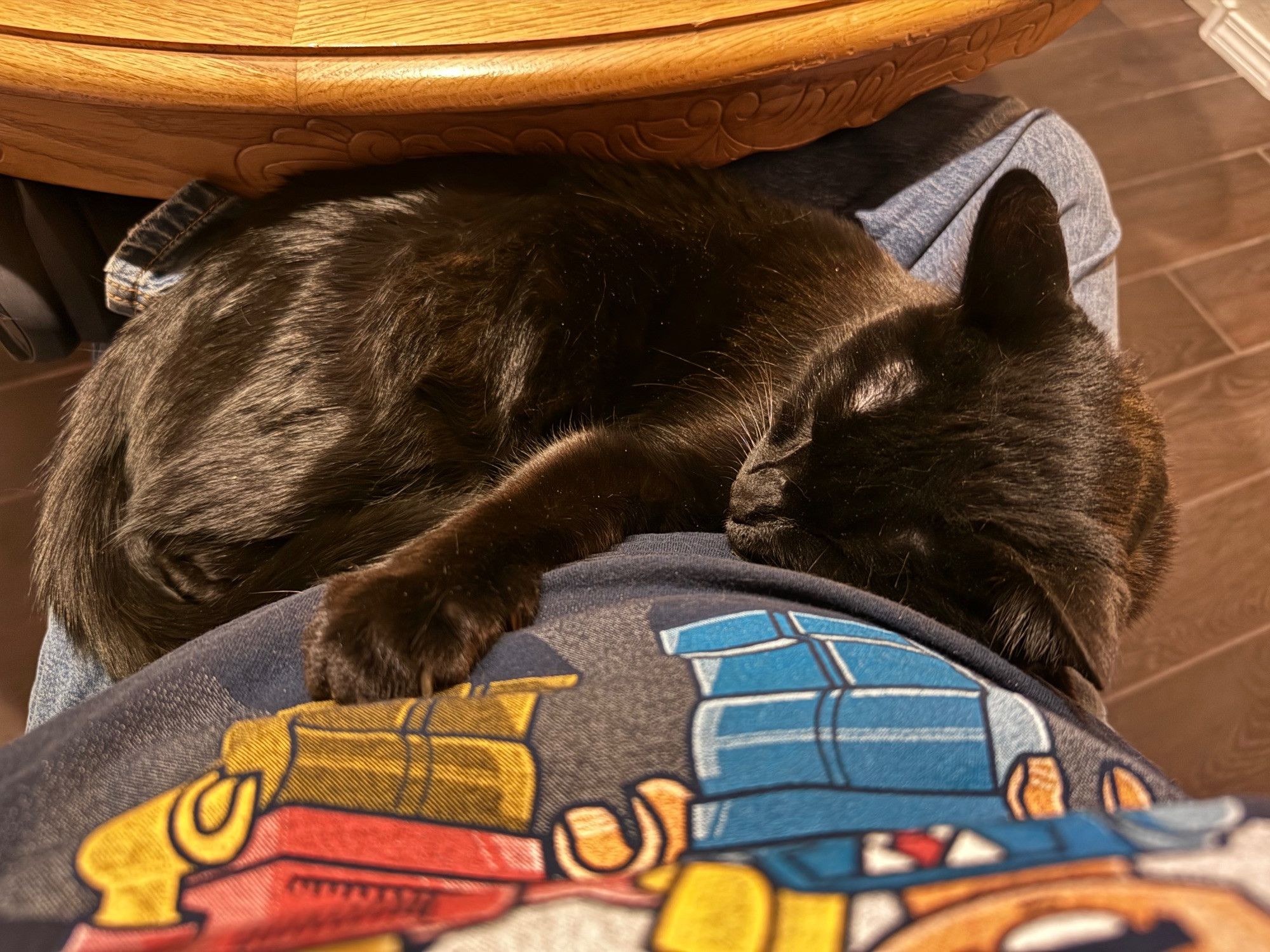 Bluesky Post 2024-09-28